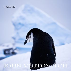 7. Arctic